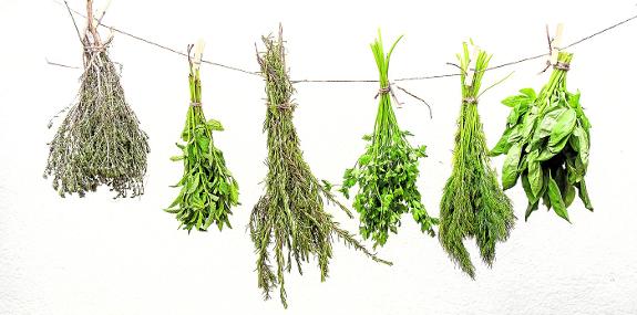 cartomanti - Erbe Magiche
